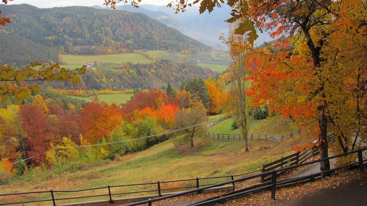 Herbst am Ritten